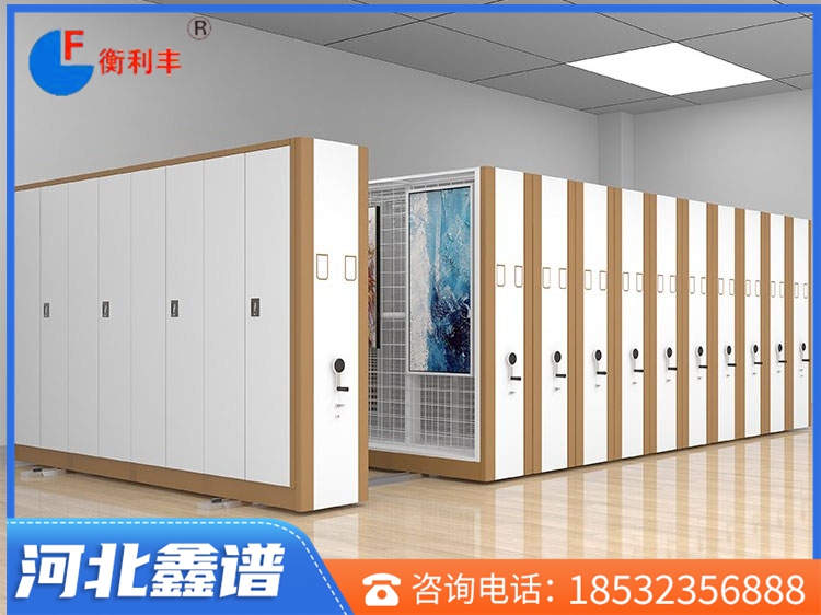 油畫密集柜、架